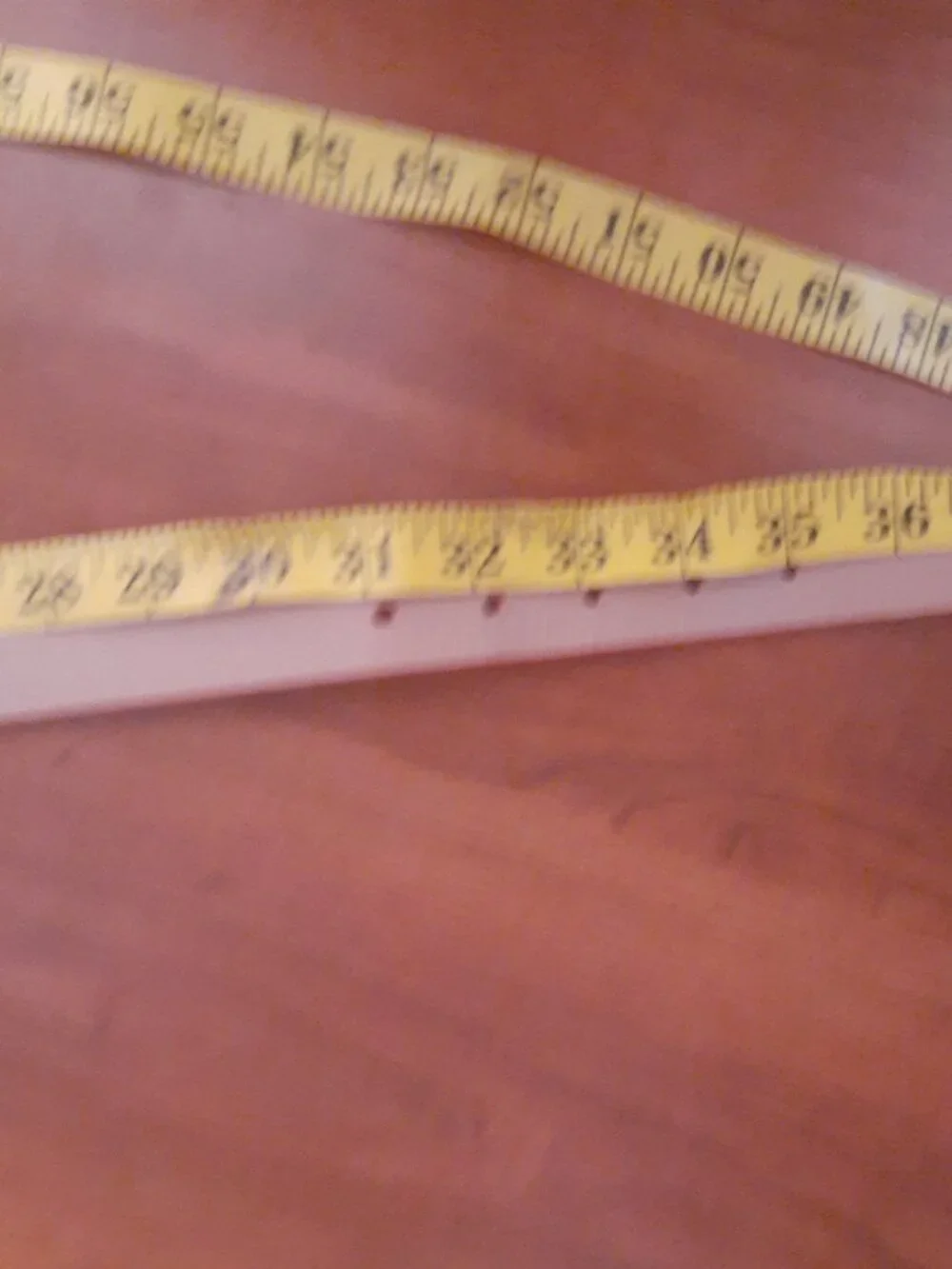 Banana Republic Orange Belt